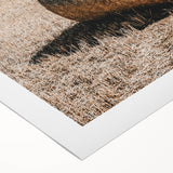 Farmhouse Wall Art: Rolling Hay Bale Scene for Rustic Farmhouse Decor