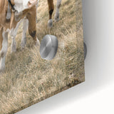 Farmhouse Wall Art: Pastoral Cows in Meadow for Rustic Farmhouse Decor
