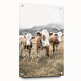 Farmhouse Wall Art: Pastoral Cows in Meadow for Rustic Farmhouse Decor