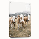 Farmhouse Wall Art: Pastoral Cows in Meadow for Rustic Farmhouse Decor