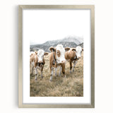 Farmhouse Wall Art: Pastoral Cows in Meadow for Rustic Farmhouse Decor