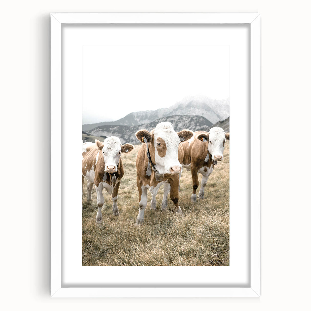 Farmhouse Wall Art: Pastoral Cows in Meadow for Rustic Farmhouse Decor