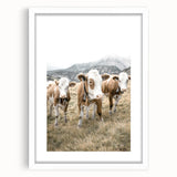 Farmhouse Wall Art: Pastoral Cows in Meadow for Rustic Farmhouse Decor