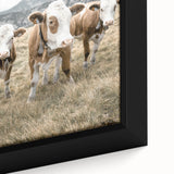 Farmhouse Wall Art: Pastoral Cows in Meadow for Rustic Farmhouse Decor