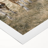 Farmhouse Wall Art: Pastoral Cows in Meadow for Rustic Farmhouse Decor