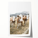 Farmhouse Wall Art: Pastoral Cows in Meadow for Rustic Farmhouse Decor