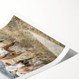 Farmhouse Wall Art: Pastoral Cows in Meadow for Rustic Farmhouse Decor