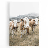 Farmhouse Wall Art: Pastoral Cows in Meadow for Rustic Farmhouse Decor