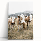 Farmhouse Wall Art: Pastoral Cows in Meadow for Rustic Farmhouse Decor