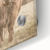 Farmhouse Wall Art: Majestic Highland Cow for Rustic Country Decor