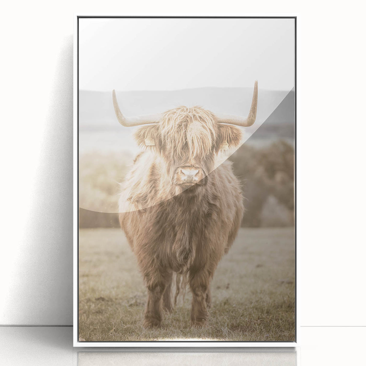 Farmhouse Wall Art: Majestic Highland Cow for Rustic Country Decor