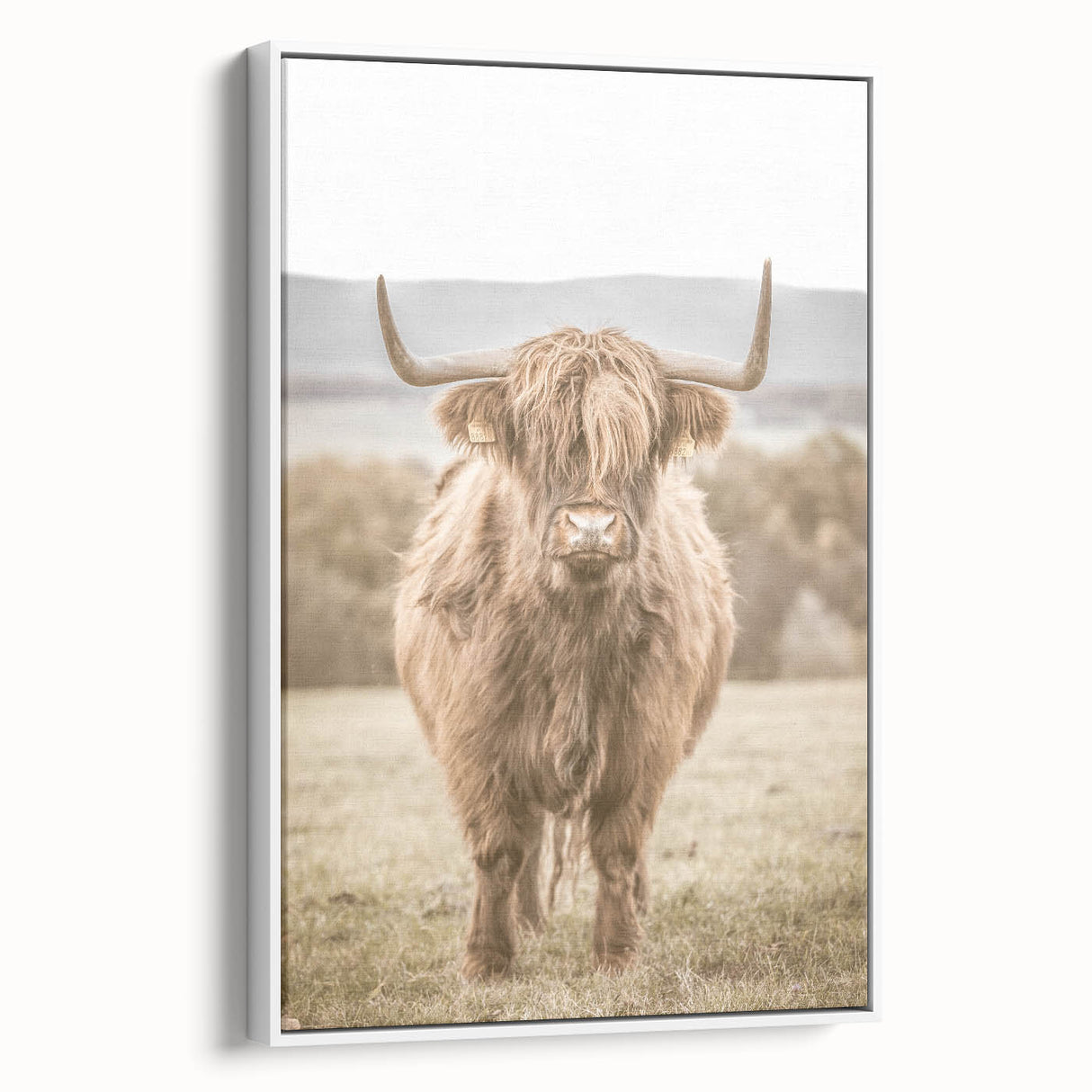 Farmhouse Wall Art: Majestic Highland Cow for Rustic Country Decor