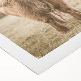 Farmhouse Wall Art: Majestic Highland Cow for Rustic Country Decor