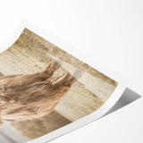 Farmhouse Wall Art: Majestic Highland Cow for Rustic Country Decor