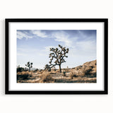 Farmhouse Wall Art: Joshua Tree Desert Scene for Rustic Country Decor