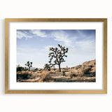 Farmhouse Wall Art: Joshua Tree Desert Scene for Rustic Country Decor