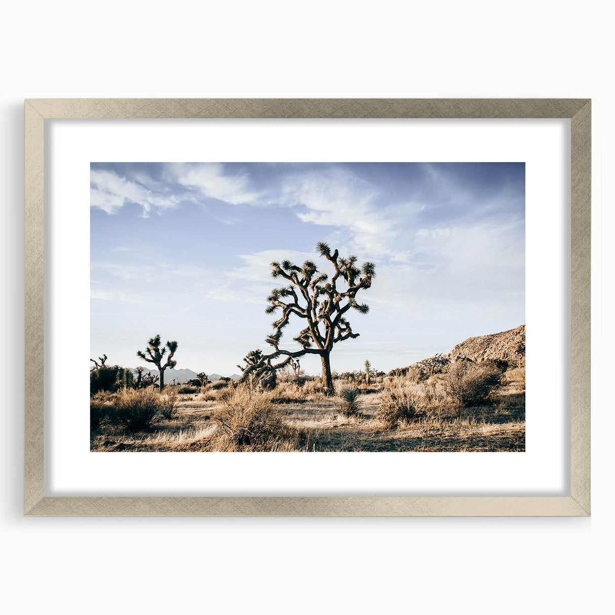 Farmhouse Wall Art: Joshua Tree Desert Scene for Rustic Country Decor