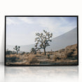Farmhouse Wall Art: Joshua Tree Desert Scene for Rustic Country Decor