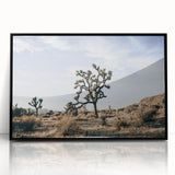 Farmhouse Wall Art: Joshua Tree Desert Scene for Rustic Country Decor