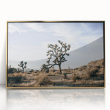 Farmhouse Wall Art: Joshua Tree Desert Scene for Rustic Country Decor