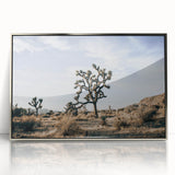 Farmhouse Wall Art: Joshua Tree Desert Scene for Rustic Country Decor