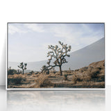 Farmhouse Wall Art: Joshua Tree Desert Scene for Rustic Country Decor