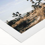 Farmhouse Wall Art: Joshua Tree Desert Scene for Rustic Country Decor