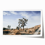 Farmhouse Wall Art: Joshua Tree Desert Scene for Rustic Country Decor