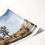 Farmhouse Wall Art: Joshua Tree Desert Scene for Rustic Country Decor