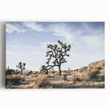 Farmhouse Wall Art: Joshua Tree Desert Scene for Rustic Country Decor