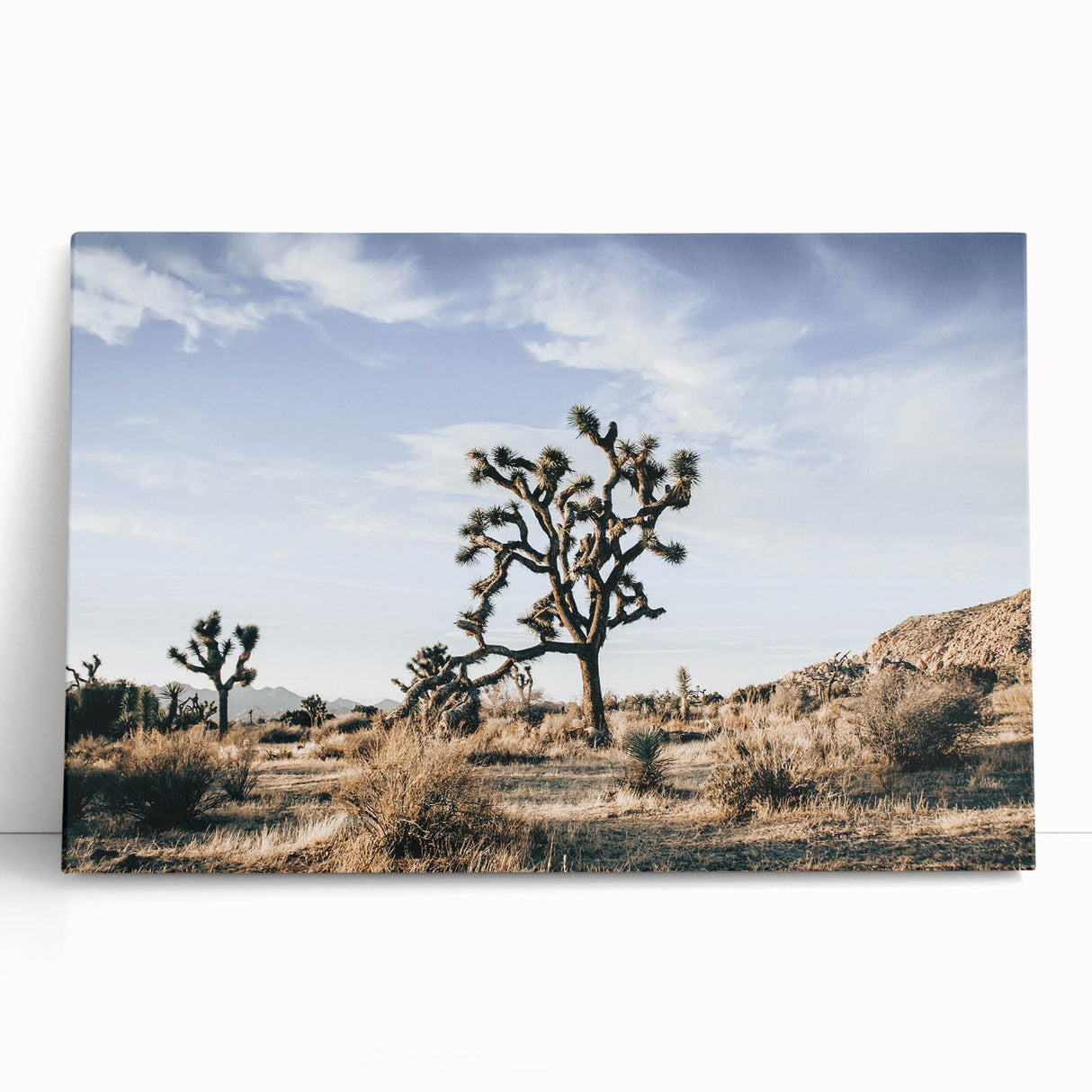 Farmhouse Wall Art: Joshua Tree Desert Scene for Rustic Country Decor