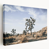 Farmhouse Wall Art: Joshua Tree Desert Scene for Rustic Country Decor