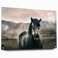 Farmhouse Wall Art: Majestic Horse for Rustic Country Farmhouse Decor