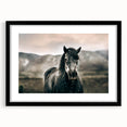 Farmhouse Wall Art: Majestic Horse for Rustic Country Farmhouse Decor