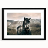Farmhouse Wall Art: Majestic Horse for Rustic Country Farmhouse Decor