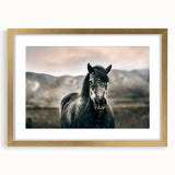 Farmhouse Wall Art: Majestic Horse for Rustic Country Farmhouse Decor