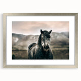 Farmhouse Wall Art: Majestic Horse for Rustic Country Farmhouse Decor