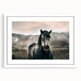 Farmhouse Wall Art: Majestic Horse for Rustic Country Farmhouse Decor