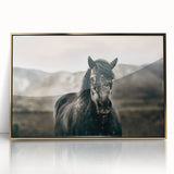 Farmhouse Wall Art: Majestic Horse for Rustic Country Farmhouse Decor