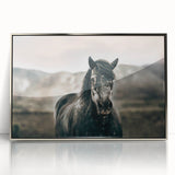Farmhouse Wall Art: Majestic Horse for Rustic Country Farmhouse Decor