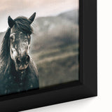 Farmhouse Wall Art: Majestic Horse for Rustic Country Farmhouse Decor
