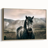 Farmhouse Wall Art: Majestic Horse for Rustic Country Farmhouse Decor