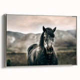 Farmhouse Wall Art: Majestic Horse for Rustic Country Farmhouse Decor