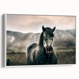 Farmhouse Wall Art: Majestic Horse for Rustic Country Farmhouse Decor