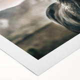 Farmhouse Wall Art: Majestic Horse for Rustic Country Farmhouse Decor