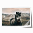 Farmhouse Wall Art: Majestic Horse for Rustic Country Farmhouse Decor