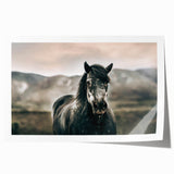 Farmhouse Wall Art: Majestic Horse for Rustic Country Farmhouse Decor