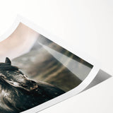 Farmhouse Wall Art: Majestic Horse for Rustic Country Farmhouse Decor