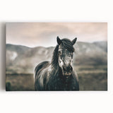 Farmhouse Wall Art: Majestic Horse for Rustic Country Farmhouse Decor