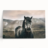 Farmhouse Wall Art: Majestic Horse for Rustic Country Farmhouse Decor
